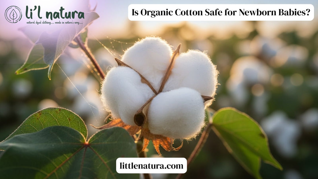 Is Organic Cotton Safe for Newborn Babies? A Gentle Guide for Caring Parents
