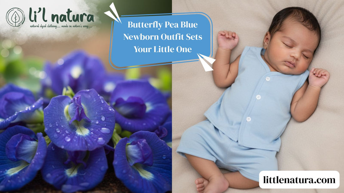 A Colour Story for Your Little One:  The Magic of Butterfly Pea Blue