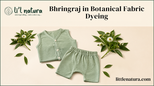 Botanical Fabric Dyeing 